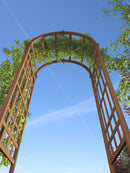 Sierra Arbor Arbor na