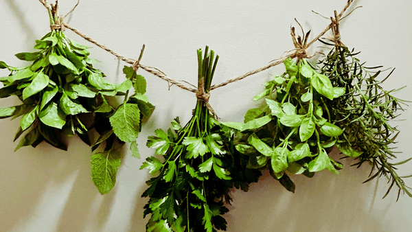 Preserving Your Herbs: Your Guide to Year-Round Flavour