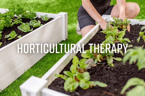Horticultural Therapy?