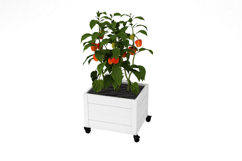 Classic Rolling Planter Planter Vita 