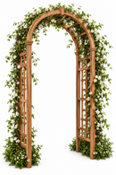 Sierra Arbor