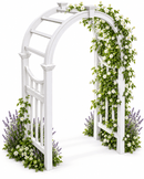 Vienna Arbor Arbor Vita 