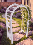 Vienna Arbor Arbor Vita 