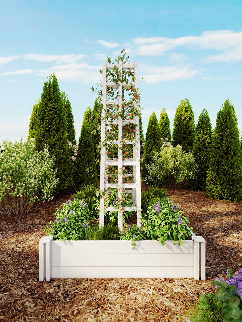 green wooden trellis CLASSIC Ladder Trellis