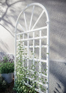 Athens Trellis Trellis Vita 