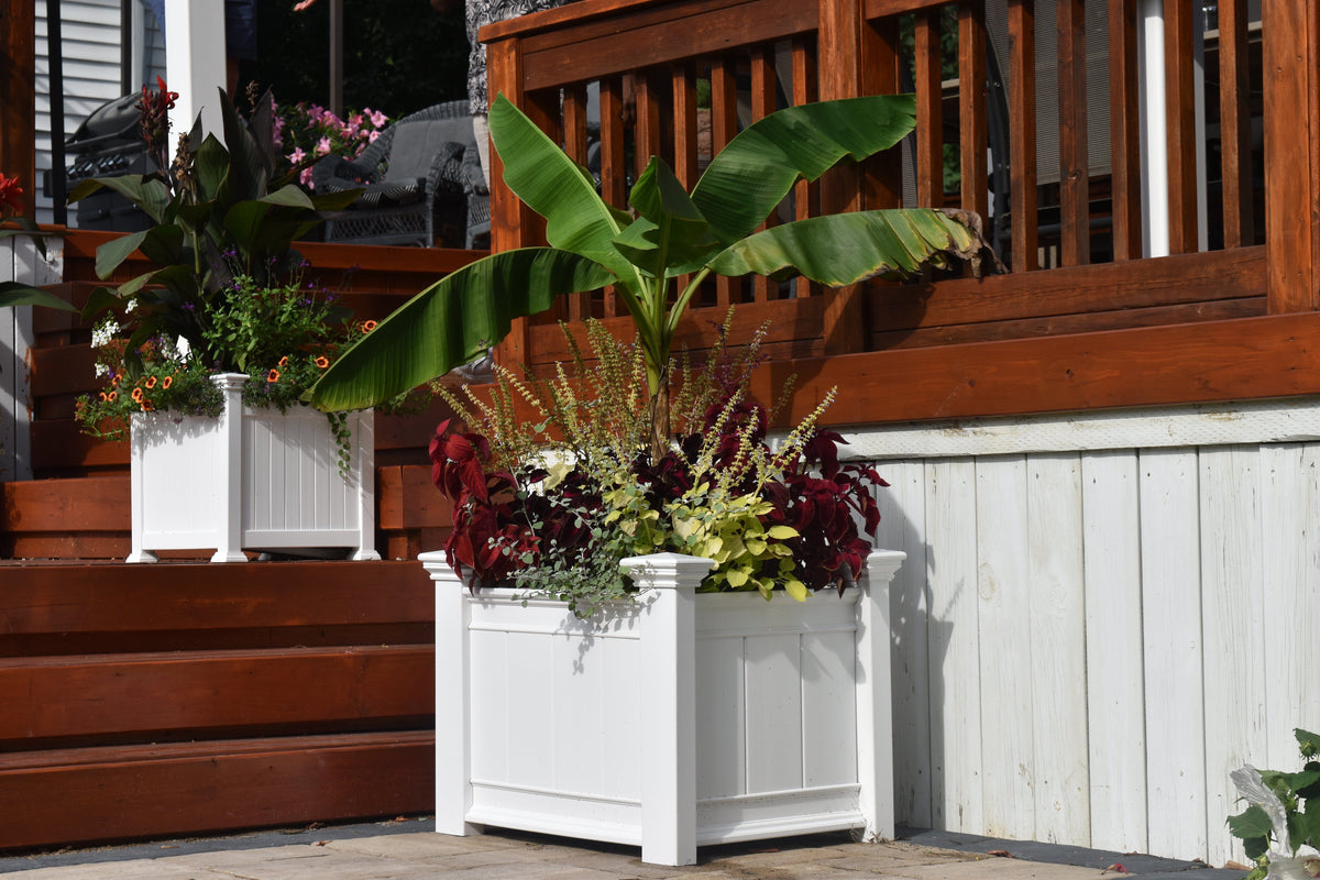planters nostalgia box CLASSIC Barcelona Planter Box