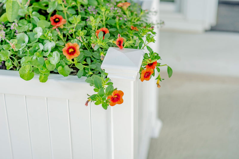 CLASSIC Cardiff Planter Box Planter Vita 