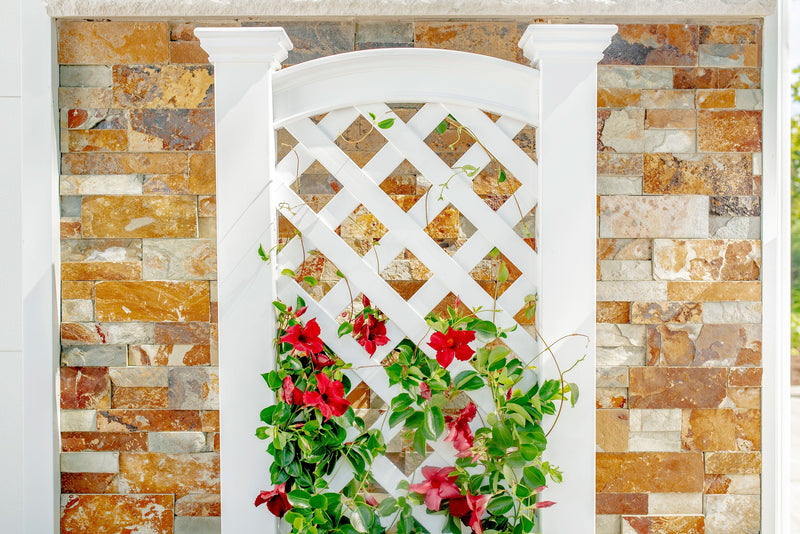 wall trellis planter CLASSIC Kensington Planter Box & Trellis