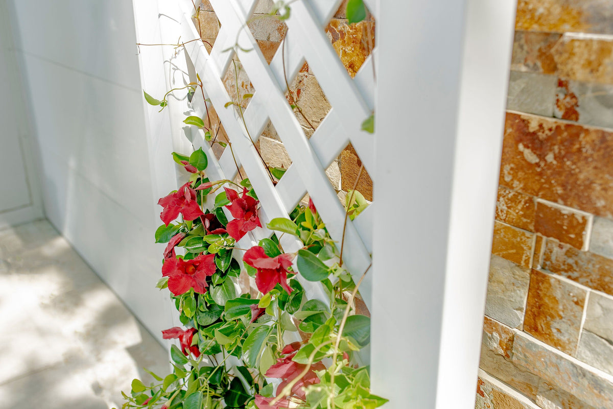 Kensington Planter with Trellis