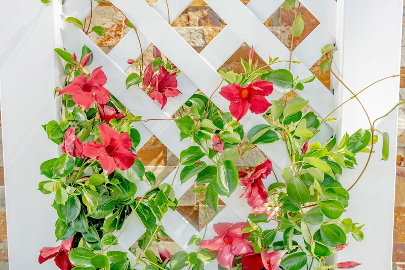 vinyl trellis planter CLASSIC Kensington Planter Box & Trellis