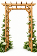 Heartwood Arbor Arbor Vita 