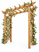 Heartwood Grande Arbor Arbor Vita 