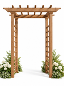 Carolina Arbor