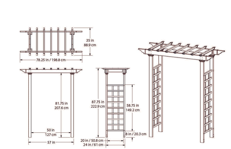 Carolina Arbor Arbor Vita 