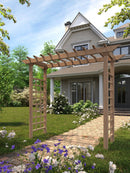 Carolina Grande Arbor Arbor Vita 