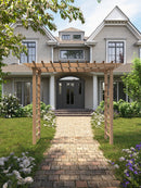 Carolina Grande Arbor Arbor Vita 