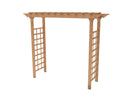 Carolina Grande Arbor Arbor Vita 