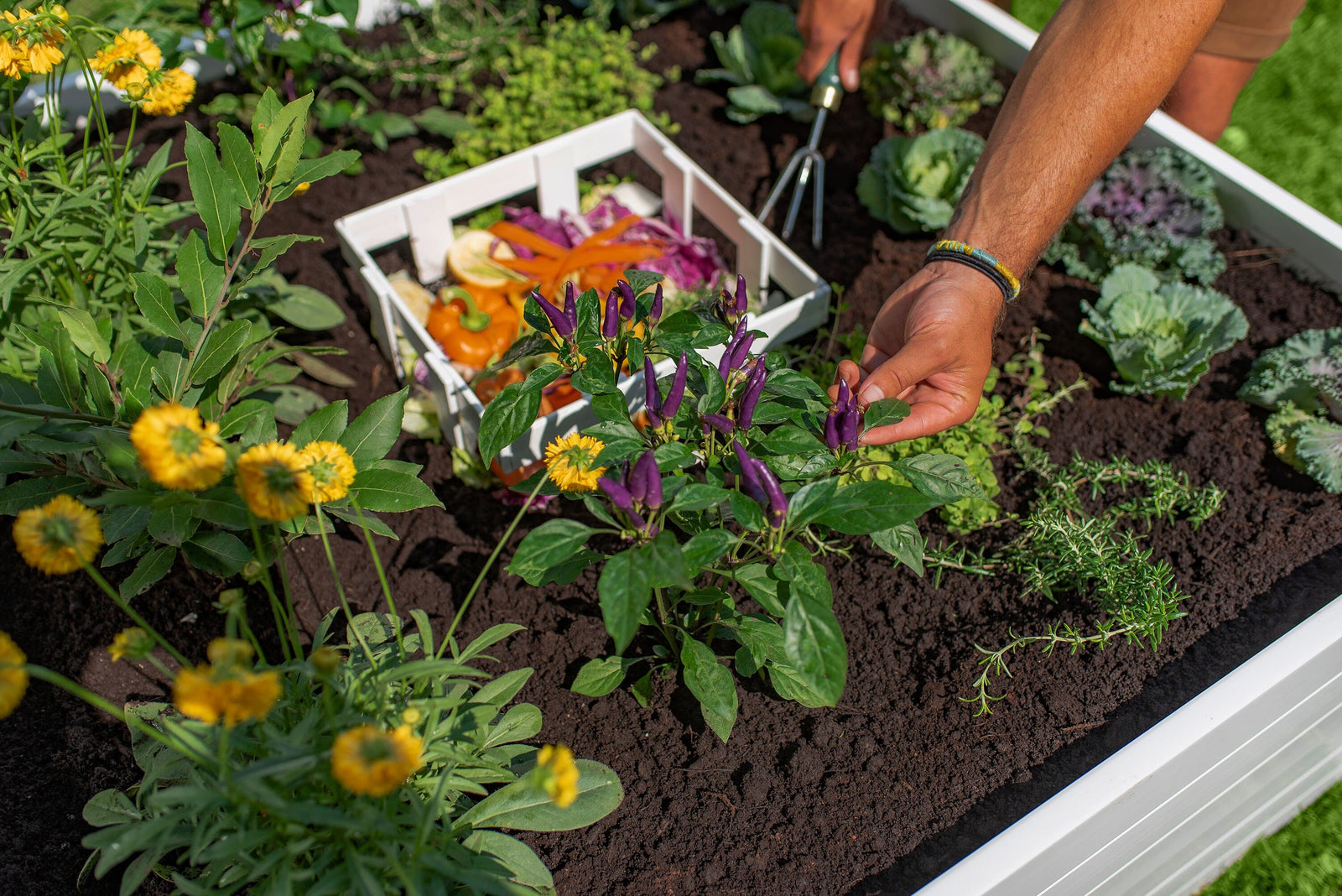 CLASSIC 4x4 Keyhole Composting Garden