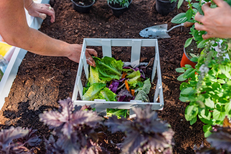 CLASSIC 3×5 Keyhole Composting Garden Garden Vita 