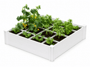 CLASSIC 4x4x11 Garden Bed with GroGrid Garden Vita 