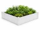 CLASSIC 4x4x11 Garden Bed Garden Vita 