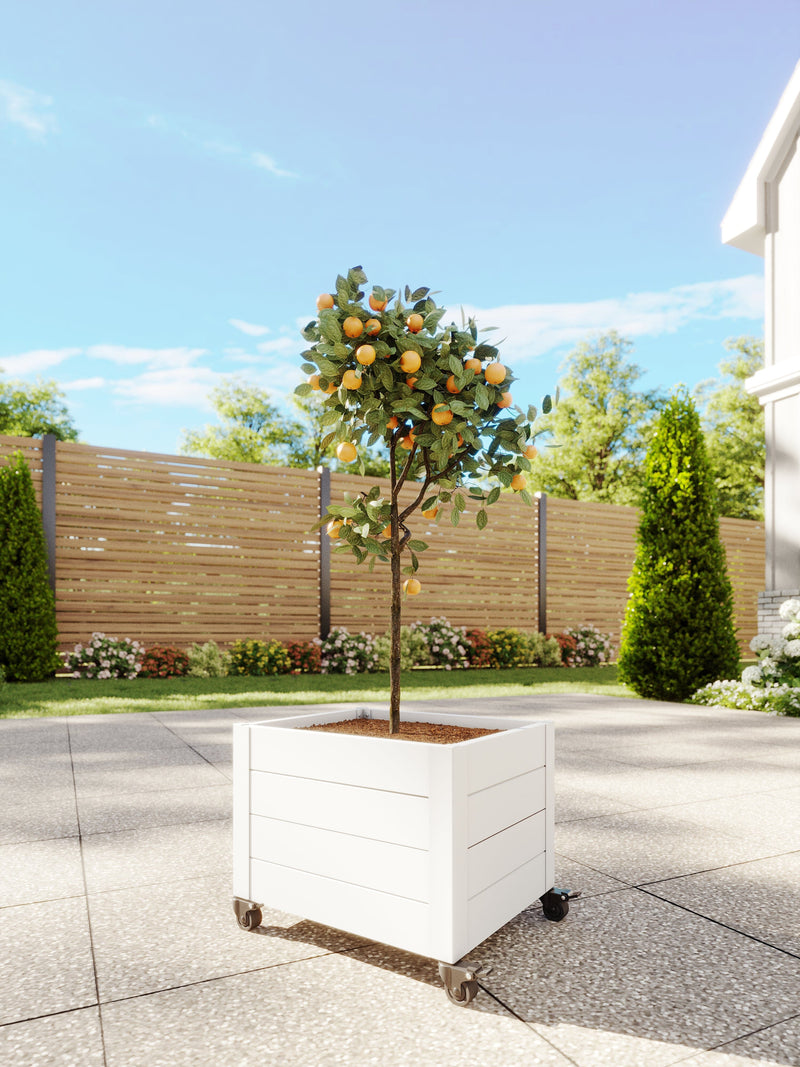 plant pot with wheels 22" L x 18" W x 18" H Vinyl Planter With Wheels Vita Color: White