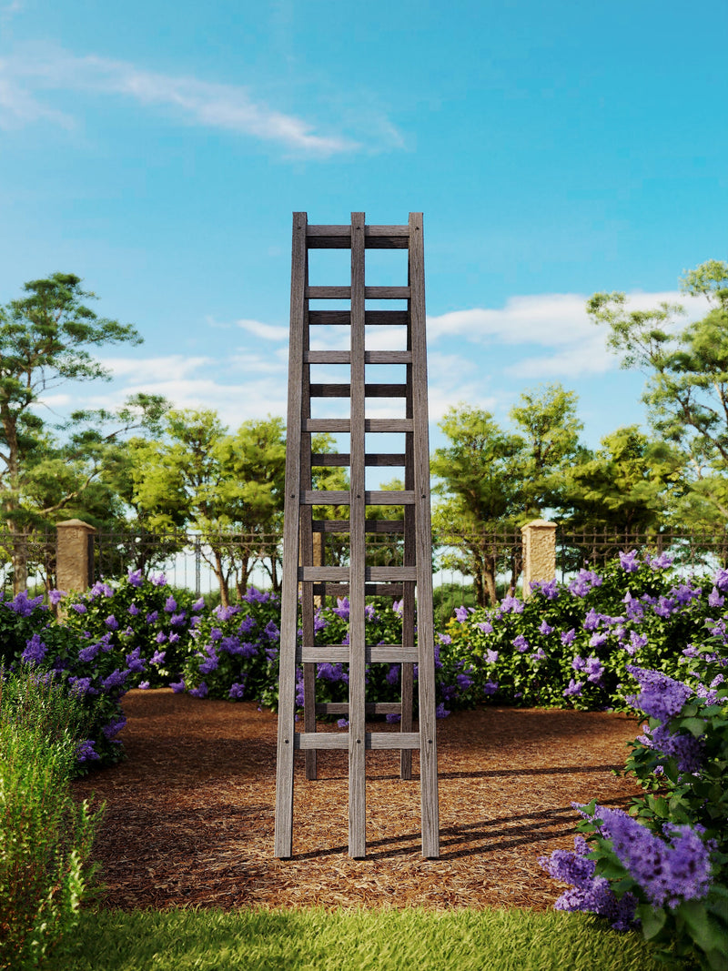 Urbana Ladder Trellis Trellis Vita 