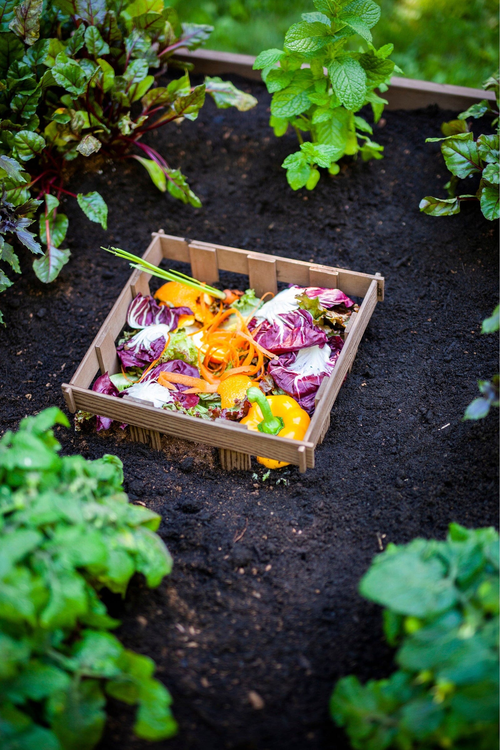 Keyhole Composter URBANA 4x4 Keyhole Composting Garden