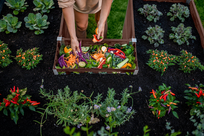 URBANA 6x6 Keyhole Composting Garden