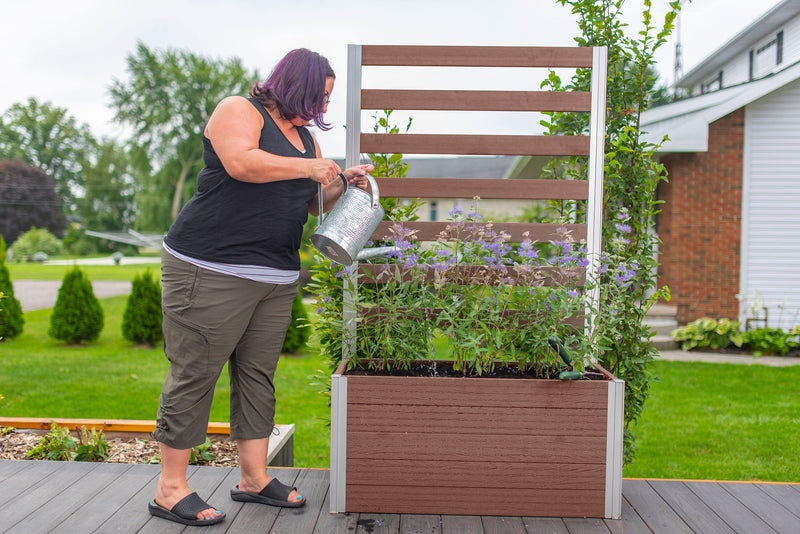 URBANA Small Parklette with Trellis