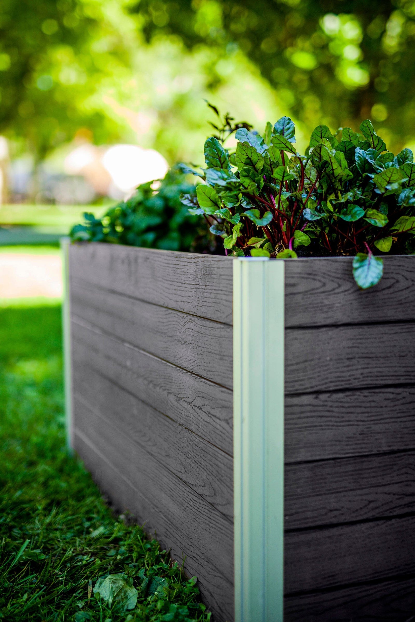 URBANA 4x4 Keyhole Composting Garden