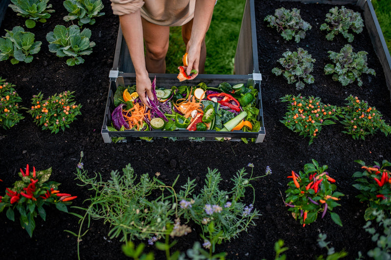 URBANA 6x6 Keyhole Composting Garden