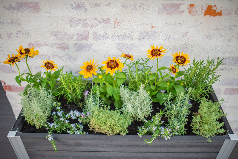 URBANA Greens Elevated Garden