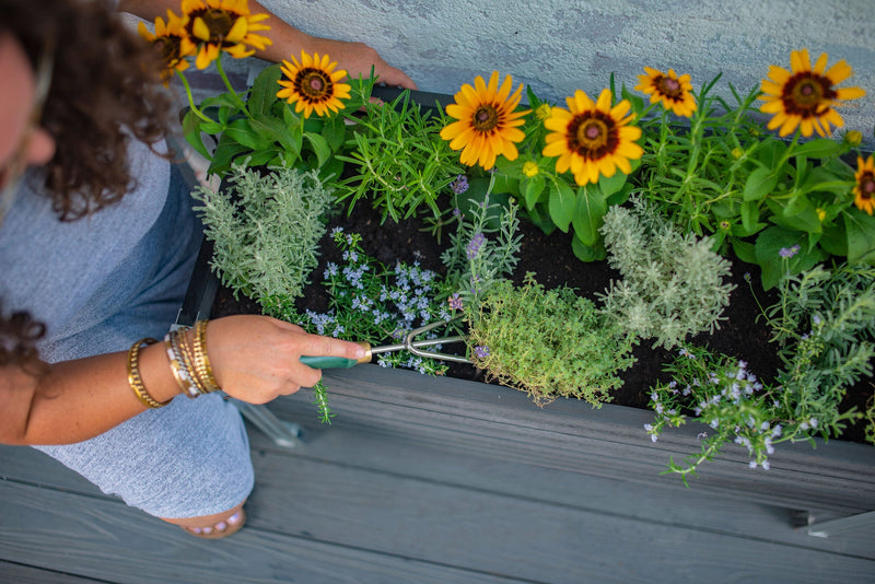 URBANA Greens Elevated Garden