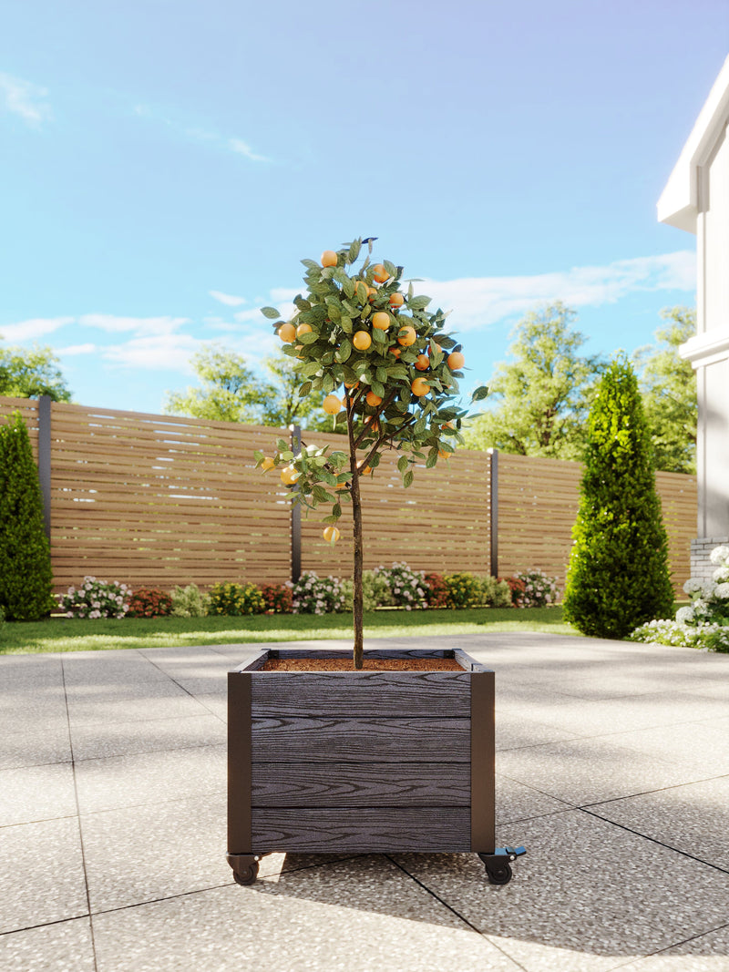 rolling seed planter URBANA Rolling Planter