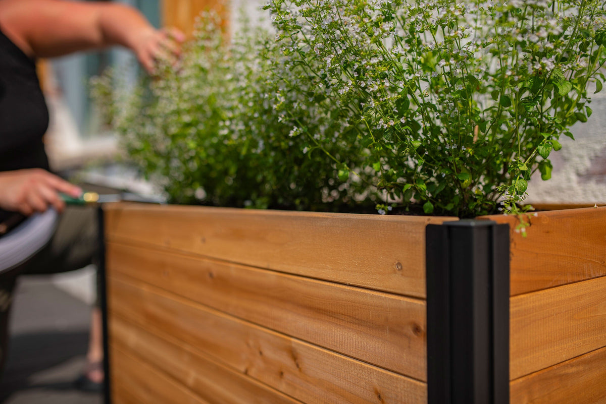 VT17715_MEZZA_Parklette_Small_