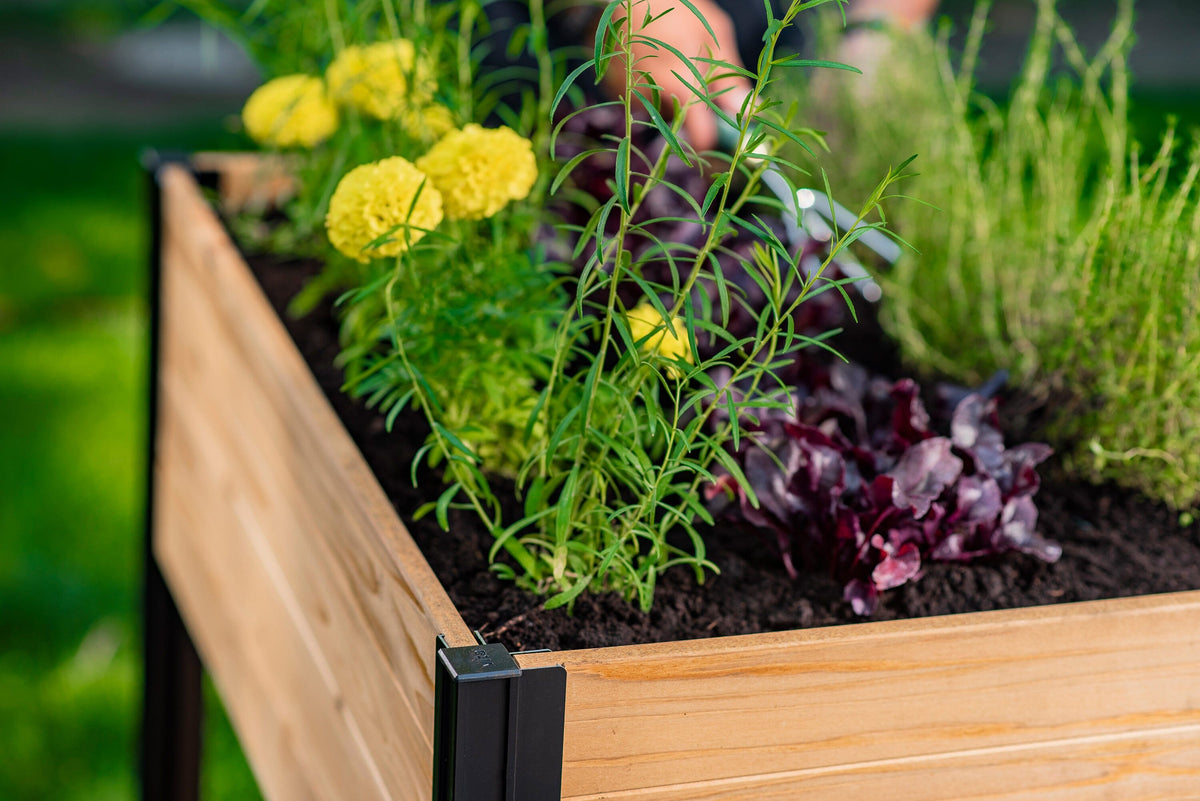 MEZZA 22x35 Herb Farm