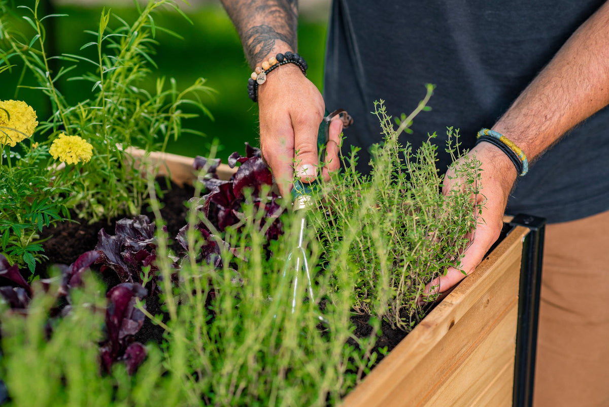 MEZZA 22x35 Herb Farm