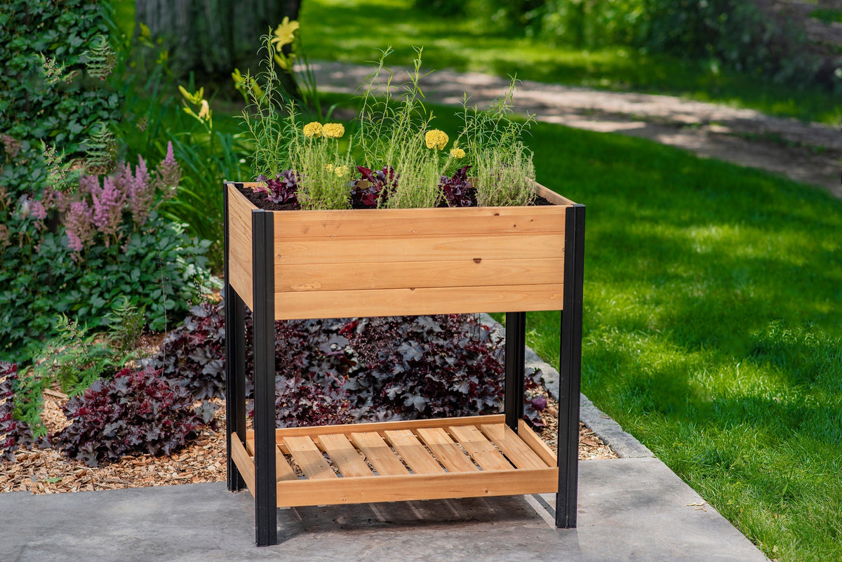 MEZZA 22x35 Herb Farm