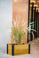 MEZZA 12x24 Planter Planter Vita 