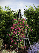 Cedar Garden Obelisk Decor Vita Charcoal 