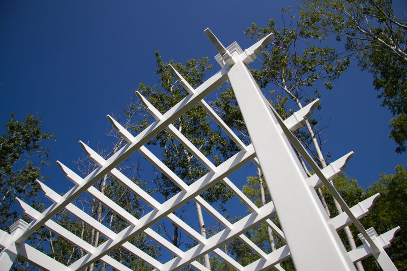 7.5x7.5 Cardiff Pergola Pergola Vita 
