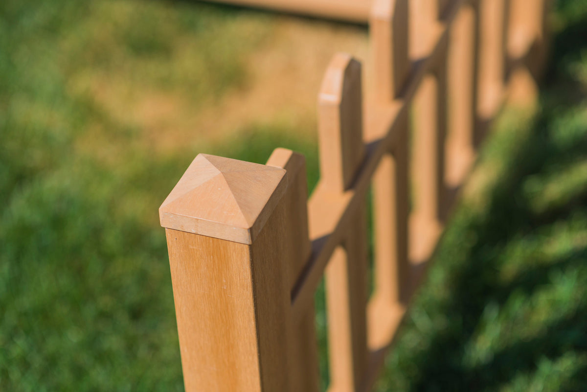 Vita 49\, image size:1200x801