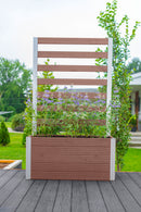 URBANA Small Parklette with Trellis