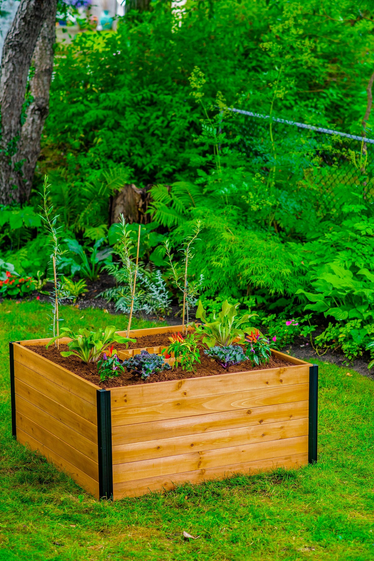 MEZZA 4x4 Keyhole Composting Garden