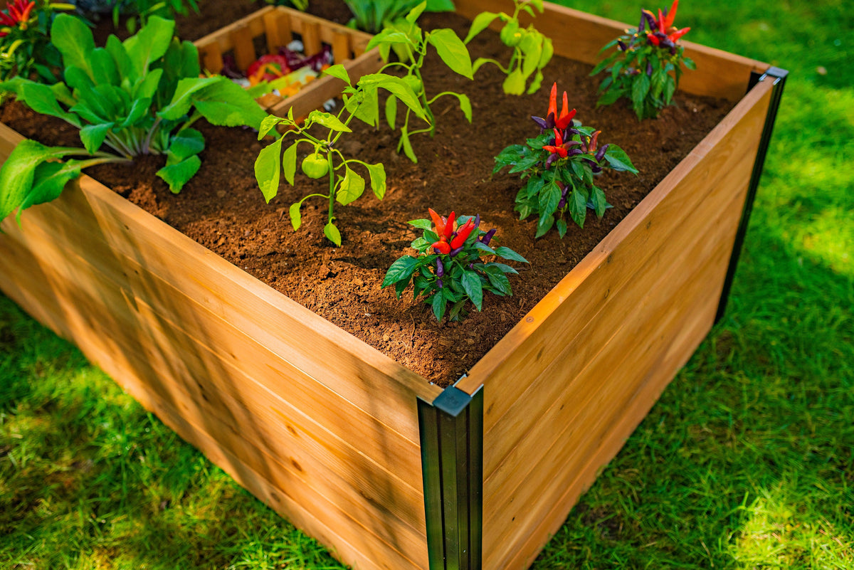 MEZZA 3x5 Keyhole Composting Garden