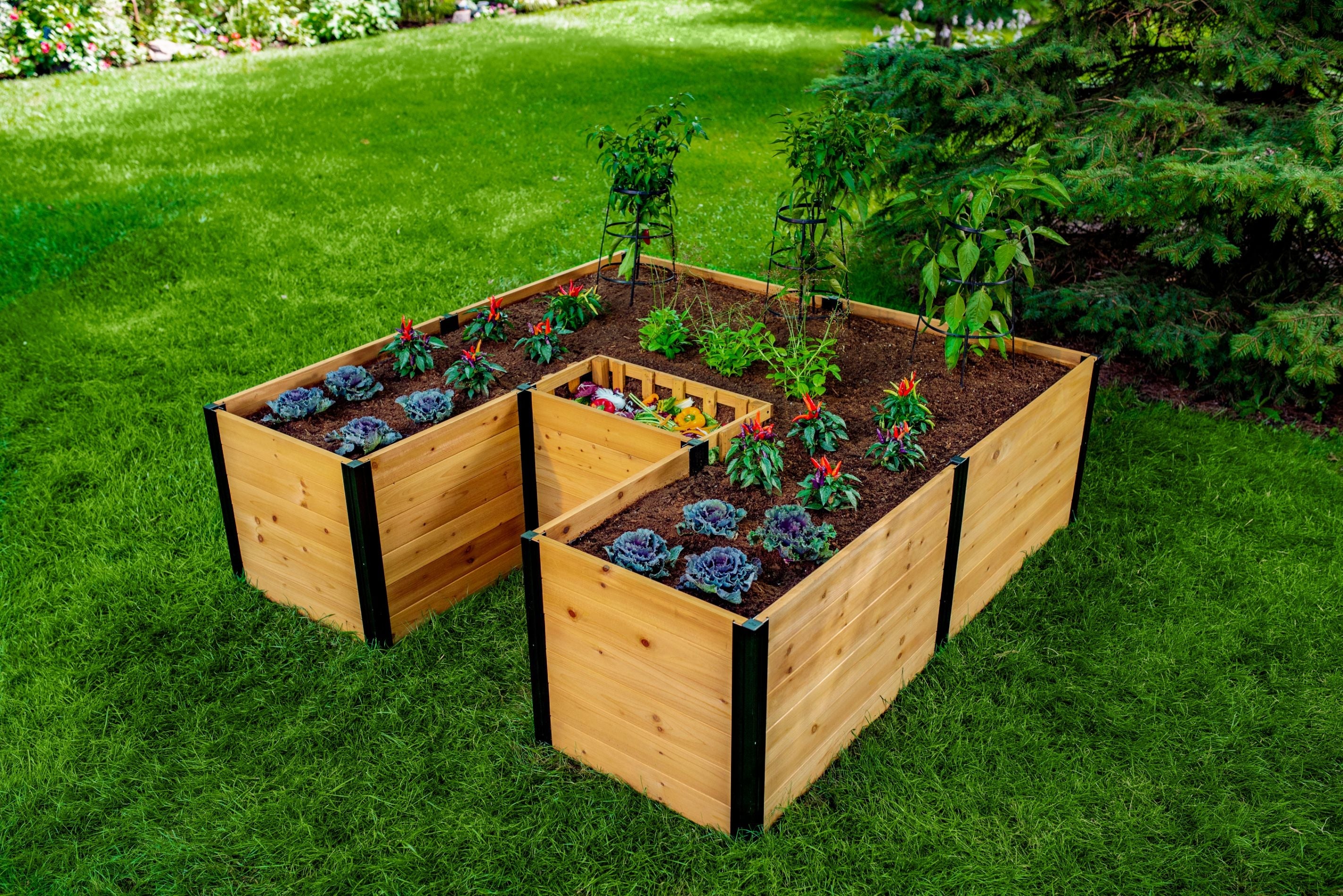 Keyhole Composter MEZZA 6x6 Keyhole Composting Garden