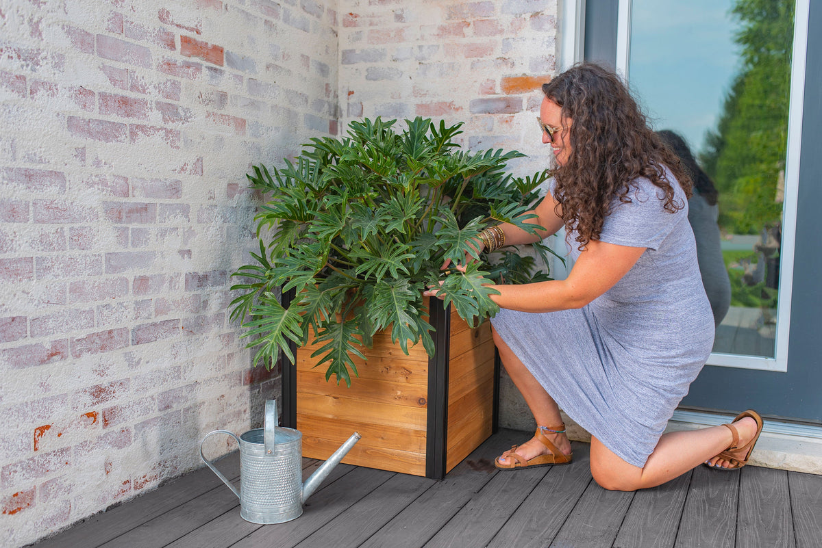 marina wood pot planter Mezza 22” Cube Planter