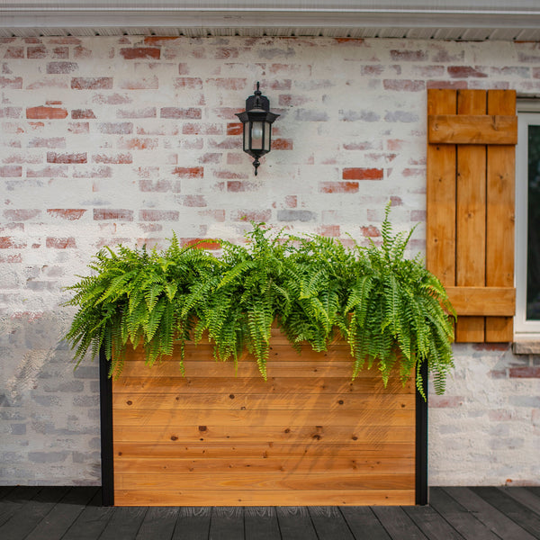 VT17716_MEZZA_Large-