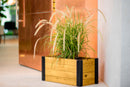MEZZA 12x24 Planter Planter Vita 